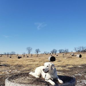 Meet your Posher, Karen